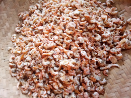 Udang Kering Ebi
