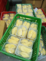 Durian Monthong Palu Pack 500 gram