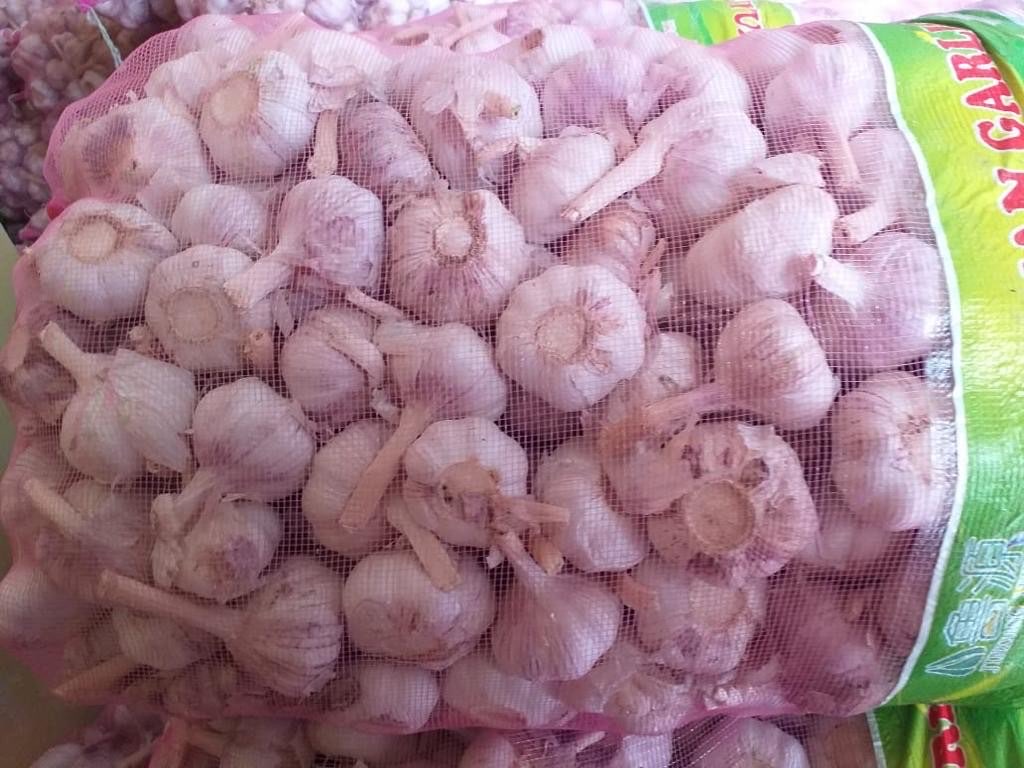 Bawang putih