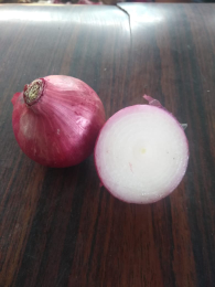 bawang merah besar import dari india