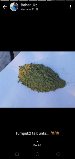 kratom
