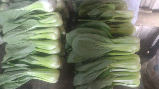 Jual