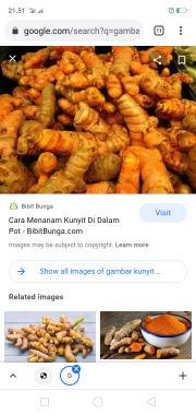 kunir