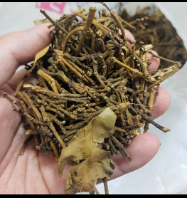 tersedia stok gagang/tangkai cengkeh