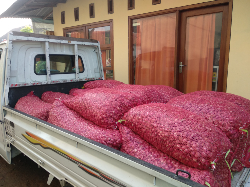 bawang merah lokal nganjuk