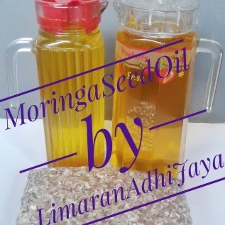 Minyak Biji Kelor