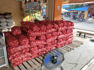 jual bawang lanang