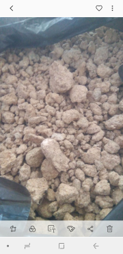 jual onggok singkong pakan ternak
