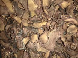 Asam Gelugur