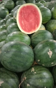 SEMANGKA