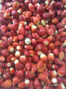 strawberry prozen/beku