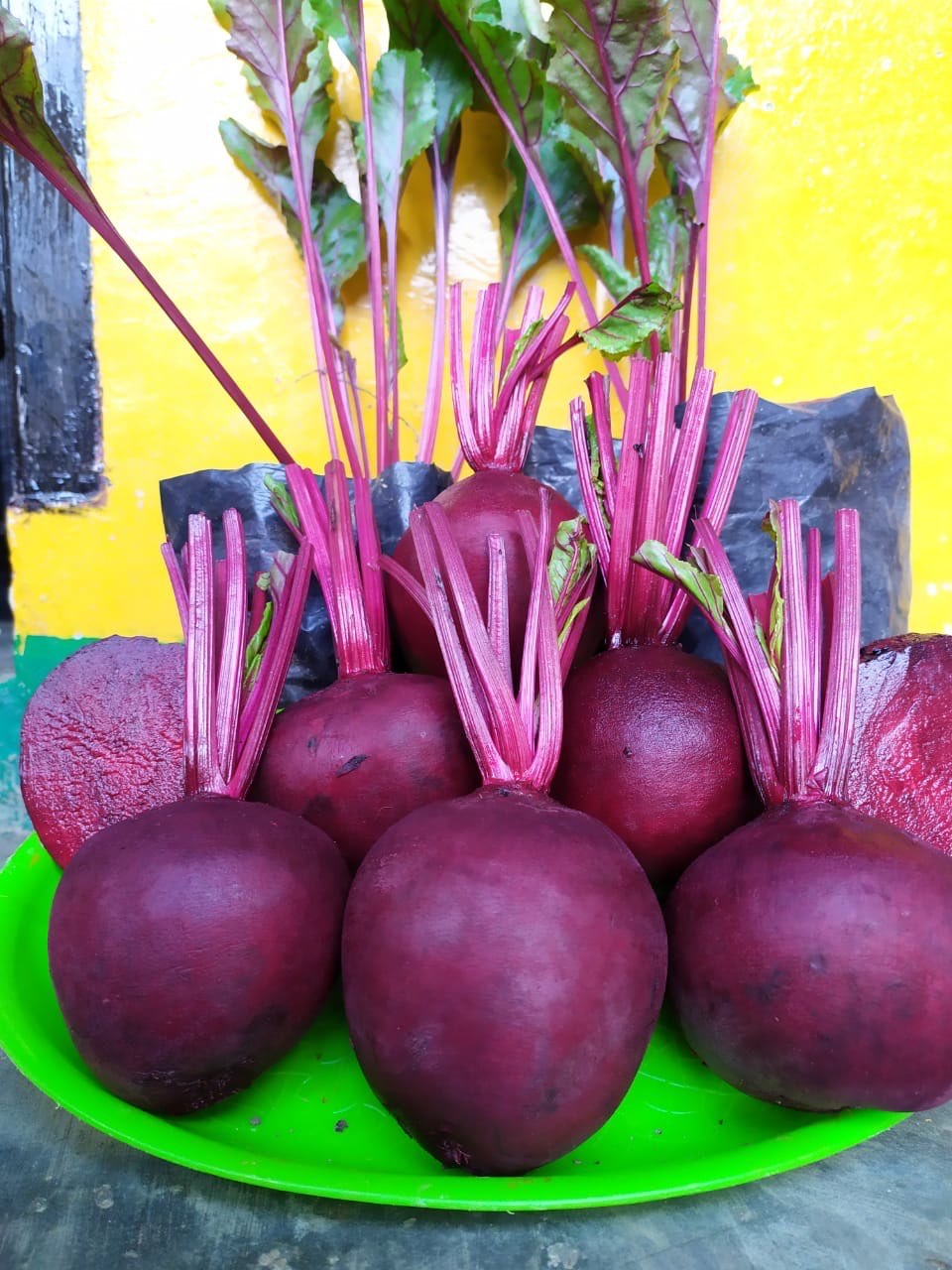 Buah Bit (Beetroot) 
