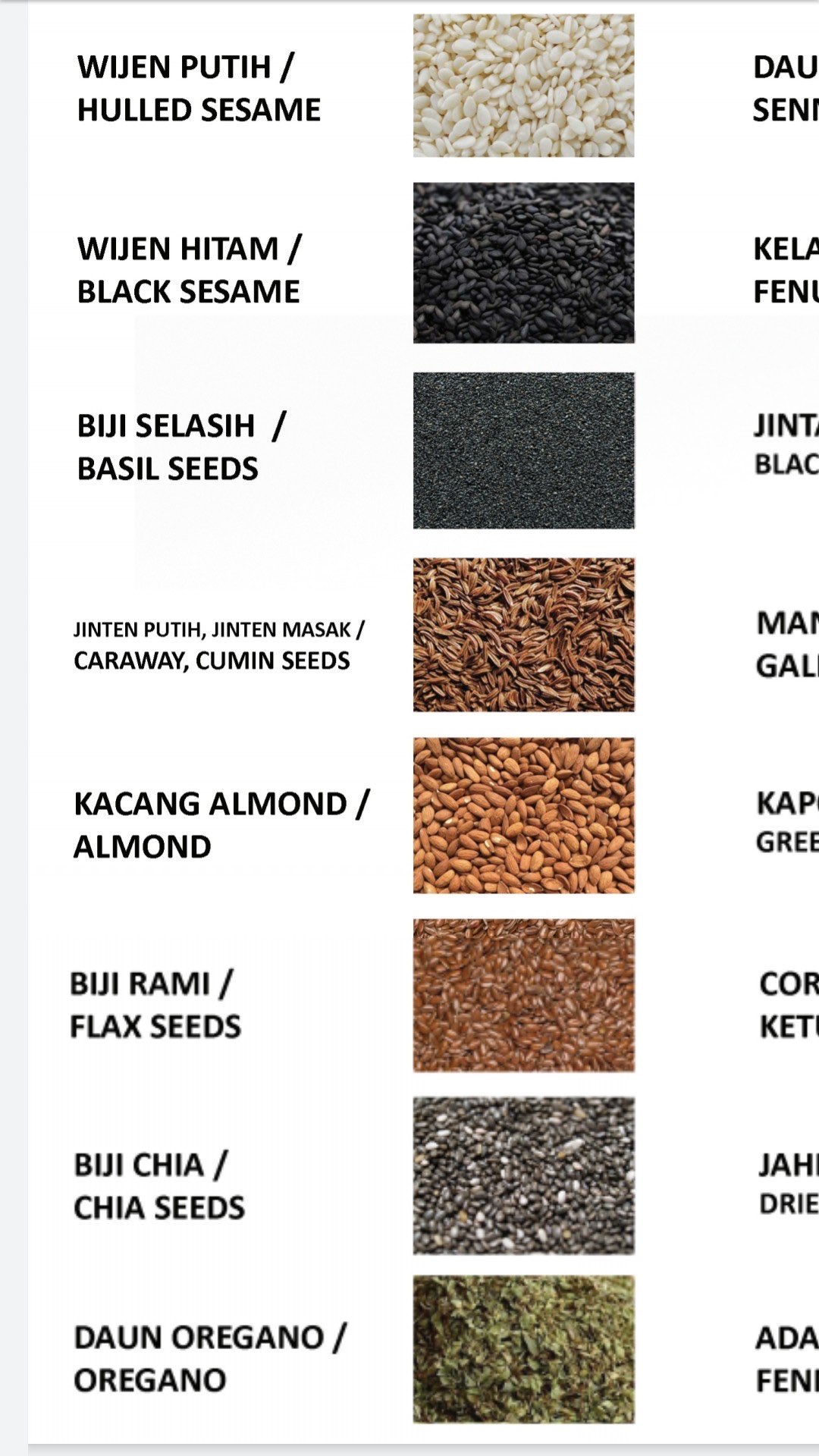 CHIA SEEDS / BIJI CHIA