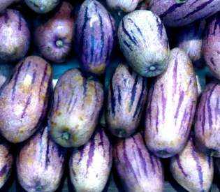 pepino / husada dewa