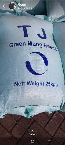 Kacang Hijau Tauge TJ biru