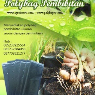 Polybag Plastik Hitam Untuk Pembenihan