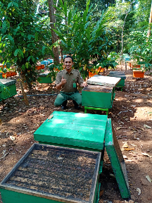 Madu Murni (Raw Honey)