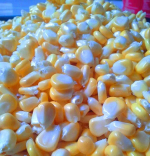 Jagung manis pipilan, uncut