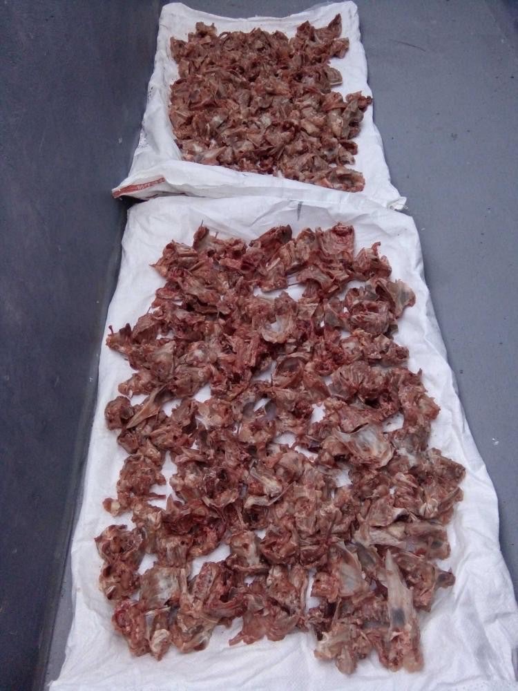 Limbah Tulang Ayam yang diperlukan