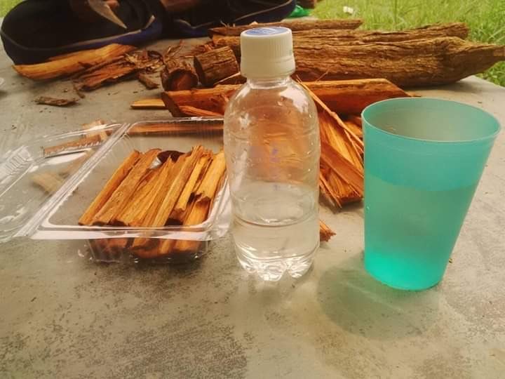 Jual Obat Cancer Kayu Akar Bajakah