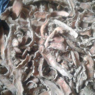JUAL KUNYIT KERING