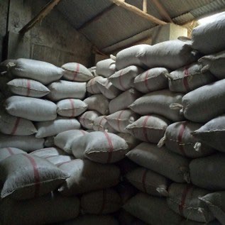kacang kulit oven