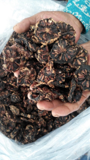 mengkudu kering / dried noni 081..297..222..110