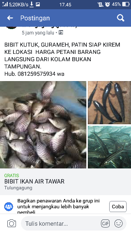 BIBI IKAN AIR TAWAR