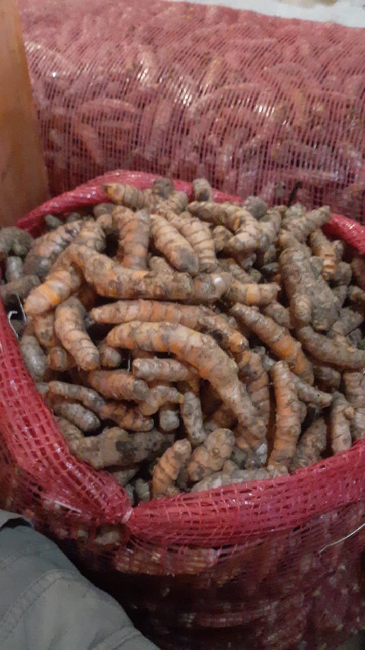 Jual Kunyit Super