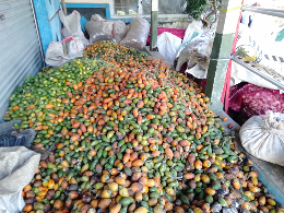 pinang/jambe