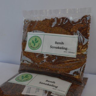 Biji/Benih Sonokeling super berkualitas 