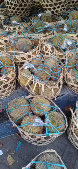 durian bali