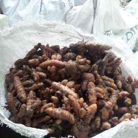ready kunyit basah abras (asalan)