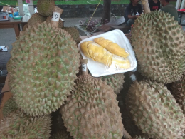durian BAWOR