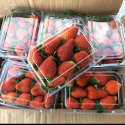 buah stoberi