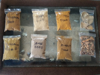 kunir bubuk food
