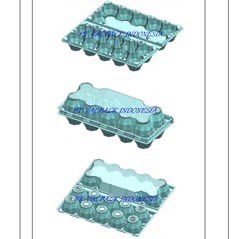 jual tray telor isi 10 dan tray telor bebek isi 4