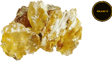 GUM DAMAR / DAMAR MATA KUCING 1KG / ASLI LAMPUNG BEST QUALITY