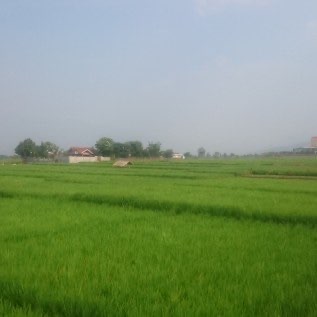 Dijual tanah disoreang bandung
