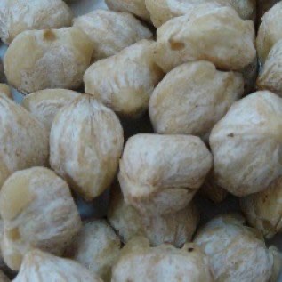 jual kemiri glondong, kupas utuh ,pecah dan asalan