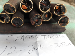jual asem trengguli/cassia fistula