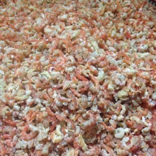 udang kering/ebi