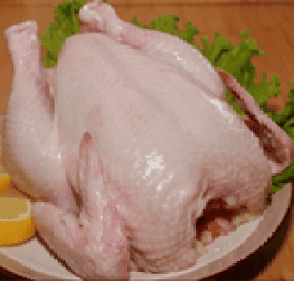 Jual Karkas Ayam Broiler Ayam Kampung Asli dan boneless dada / paha