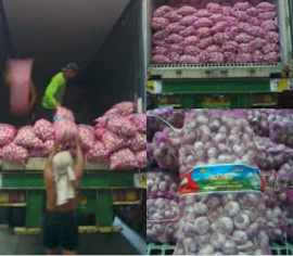DISTRIBUTOR BAWANG PUTIH