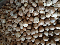 Pinang Belah & Glondong ( Betel nuts )