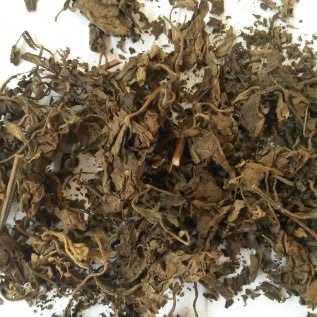 Jual Daun Nilam Belum Suling dan Sudah Suling