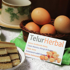 Telur Herbal