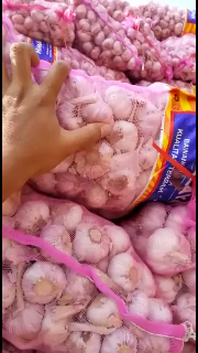 BAWANG PUTIH HIMALAYA