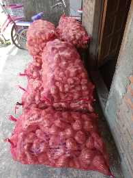 ubi madu manis