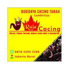 Jual cacing tanah lumbricus Jakarta Barat